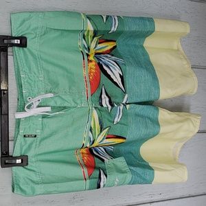 Surf Shorts Beach Shorts Pool Shorts Stripes Tropical (B)